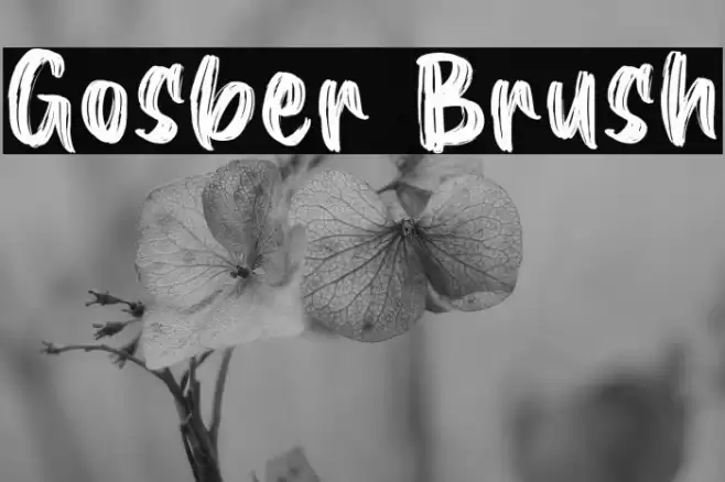 Gosber Brush Font examples