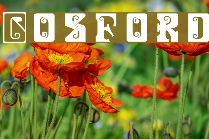 Gosford Font examples