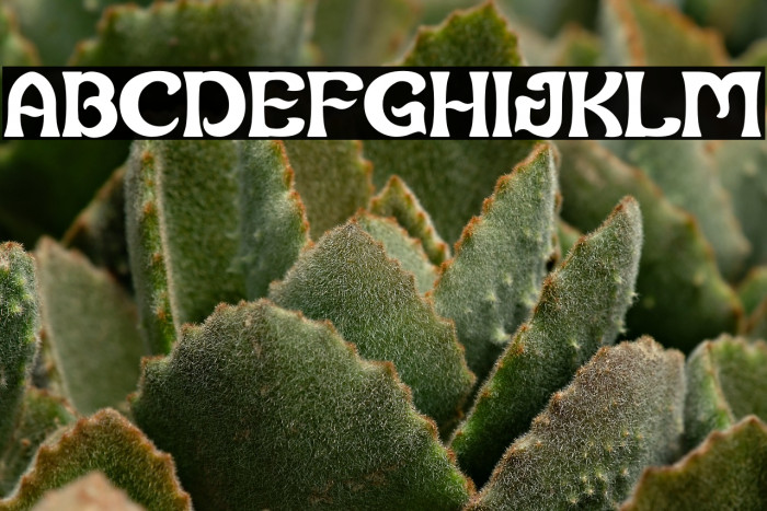 Gosling Qijon Example 1