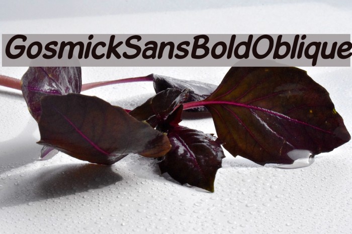 GosmickSansBoldOblique Font examples