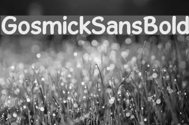 GosmickSansBold Schriftart examples