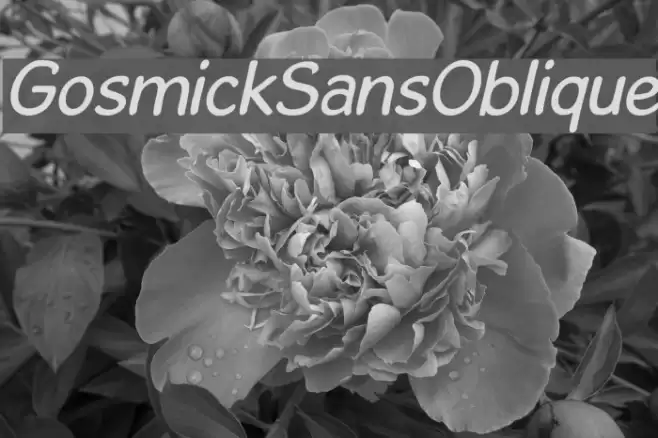 GosmickSansOblique Caratteri examples