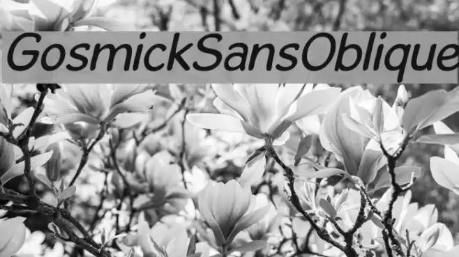GosmickSansOblique Caratteri examples