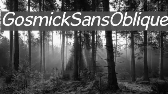GosmickSansOblique Caratteri examples