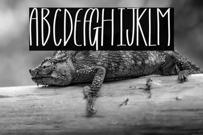 Gospel Message Font examples