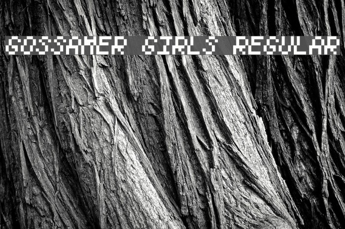 Gossamer Girls Regular Example 1