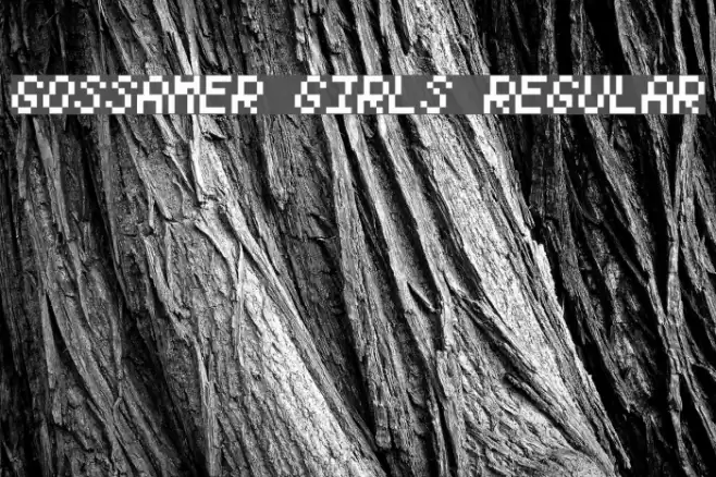 Gossamer Girls Regular Font examples