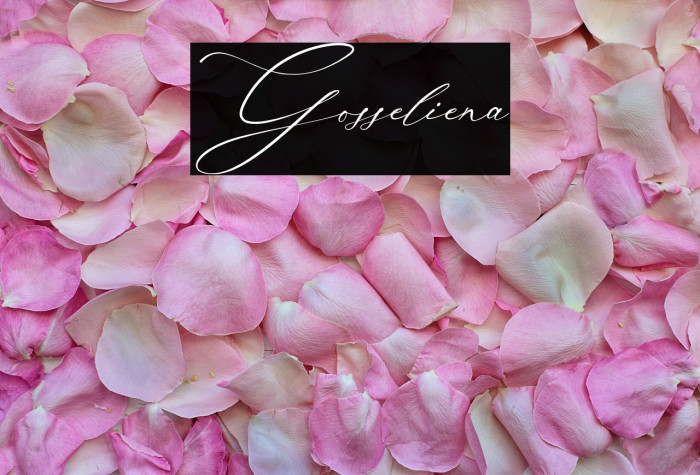 Gosseliena Example 3