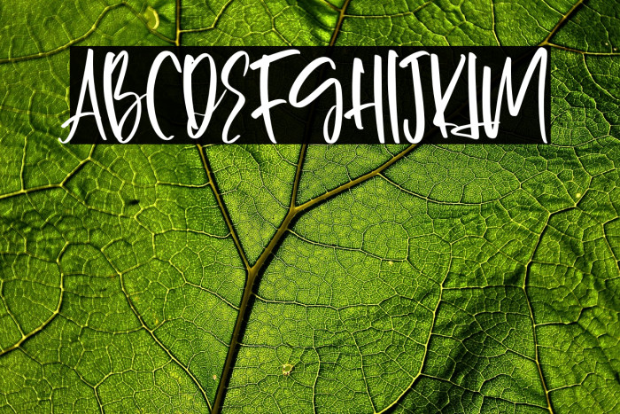 Gossipers-Regular Example 2