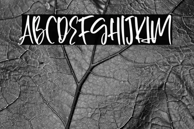 Gossipers-Regular फ़ॉन्ट examples