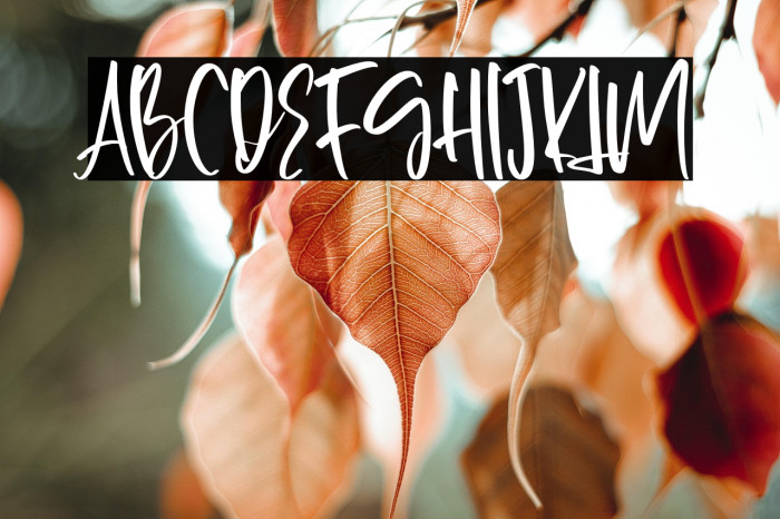 Gossipers-Regular Example 3