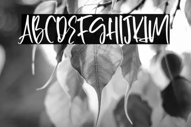 Gossipers-Regular फ़ॉन्ट examples