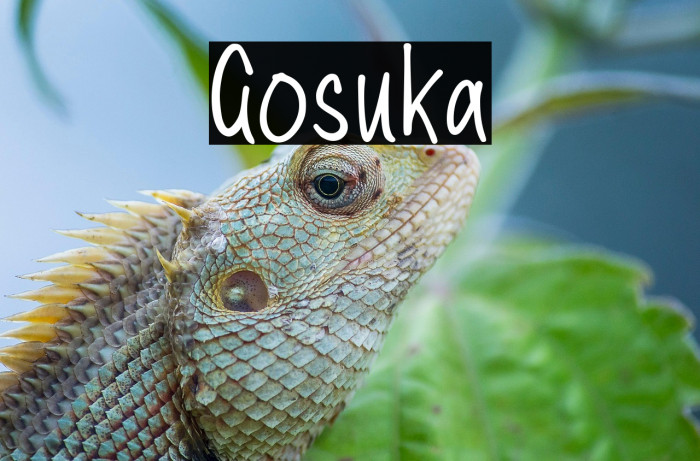 Gosuka Example 1