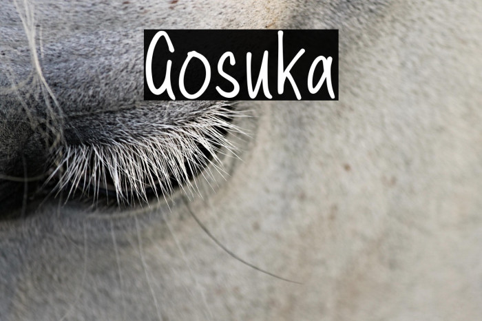Gosuka Example 2