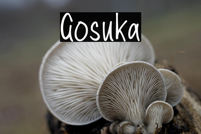 Gosuka Example 3