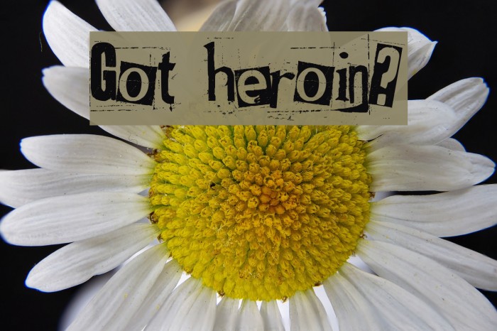 Got heroin? Font examples
