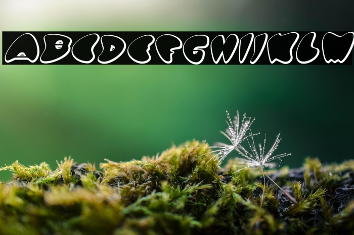 GotNoHeart-Regular Example 3