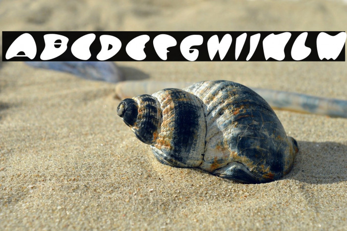 GotNoHeartSolid-Regular Example 3