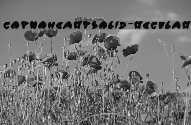 GotNoHeartSolid-Regular Font examples