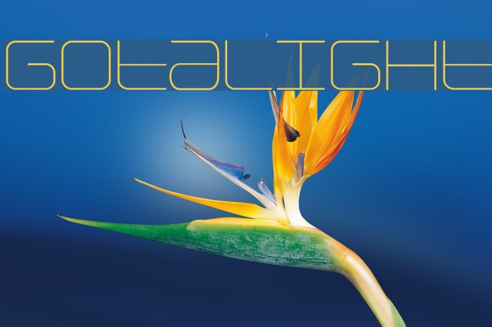 Gota-Light Font examples