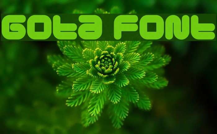 Gota フォント examples