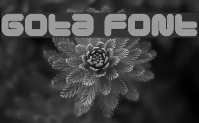 Gota Font examples
