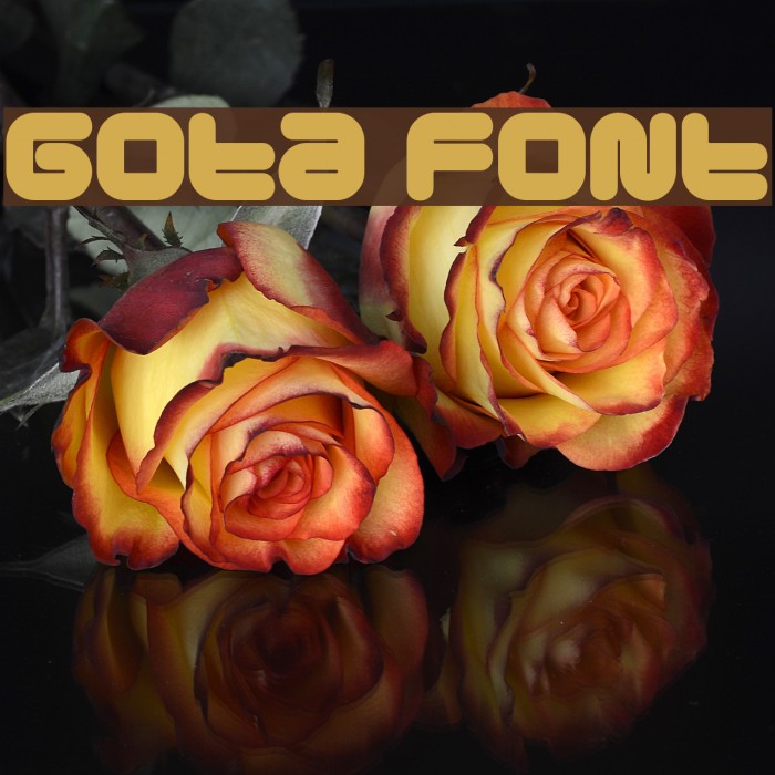 Gota フォント examples
