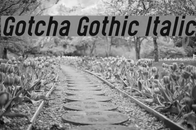 Gotcha Gothic Italic Font examples