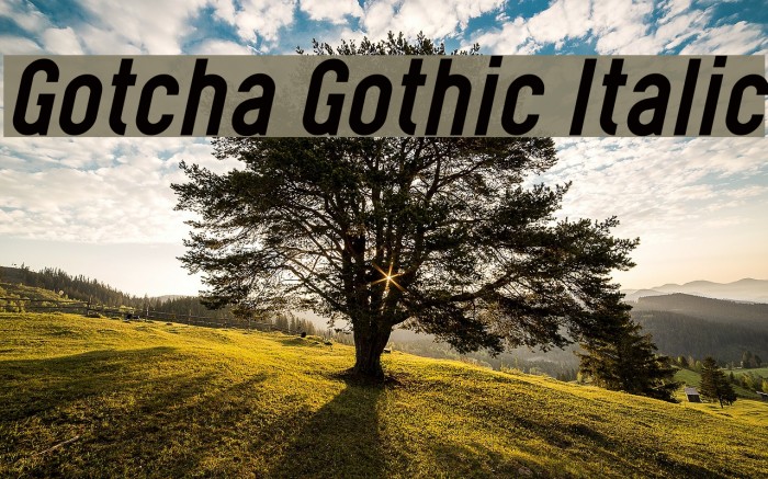 Gotcha Gothic Italic Font examples