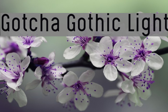 Gotcha Gothic Light Font examples