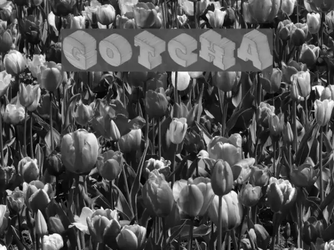 Gotcha Font examples