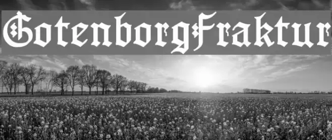 GotenborgFraktur Шрифта examples
