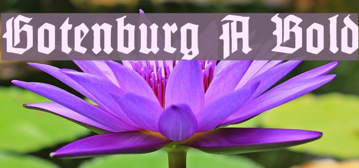 Gotenburg A Bold Font examples