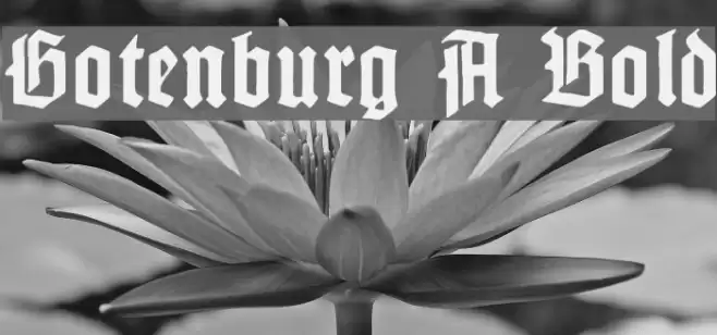 Gotenburg A Bold Font examples