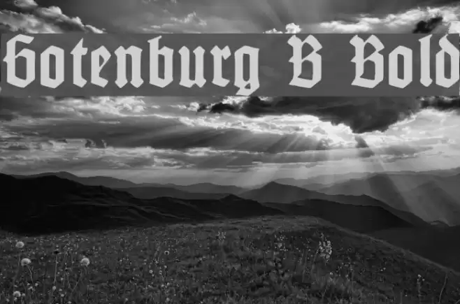 Gotenburg B Bold Font examples