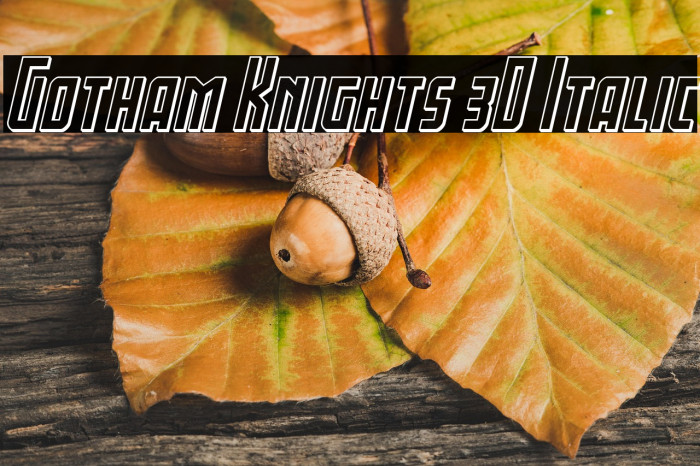 Gotham Knights 3D Italic Example 2