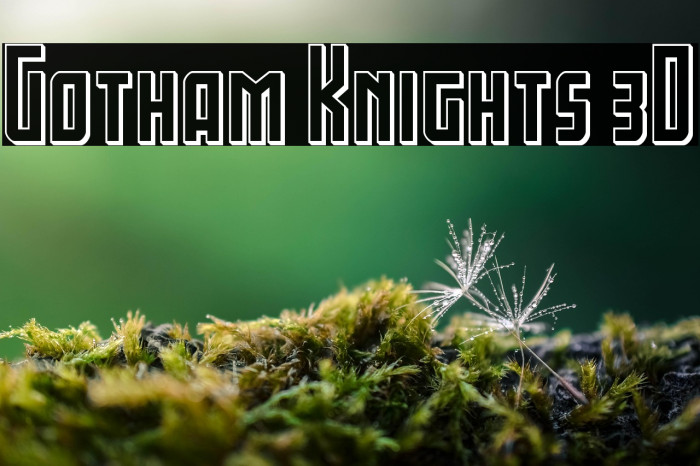 Gotham Knights 3D Example 2