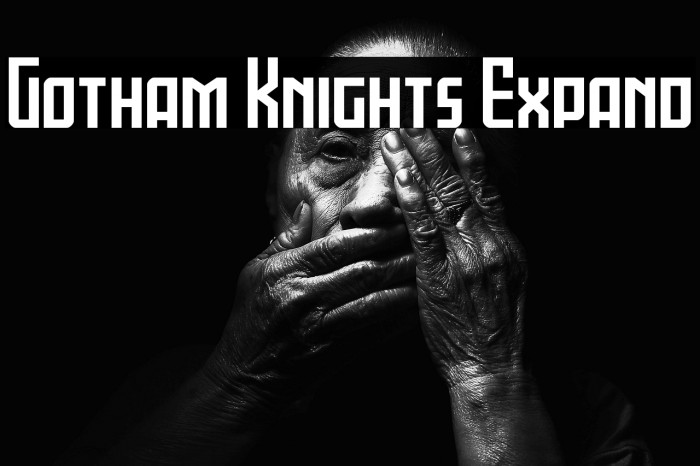 Gotham Knights Expand Example 1