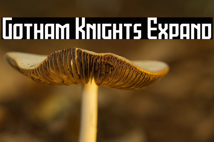 Gotham Knights Expand Example 2