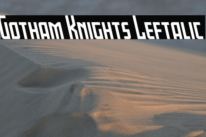 Gotham Knights Leftalic Example 1