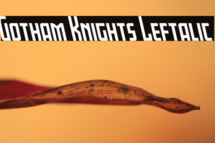 Gotham Knights Leftalic Example 2