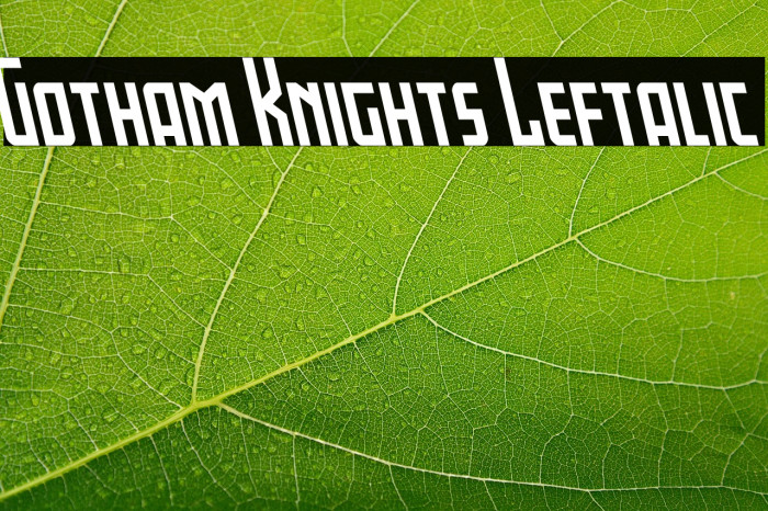 Gotham Knights Leftalic Example 3