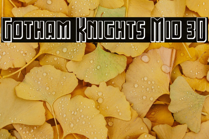 Gotham Knights Mid 3D Example 3
