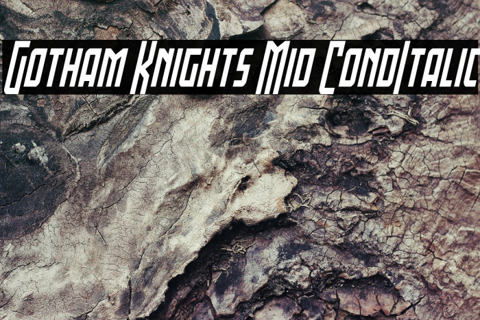 Gotham Knights Mid CondItalic Example 1