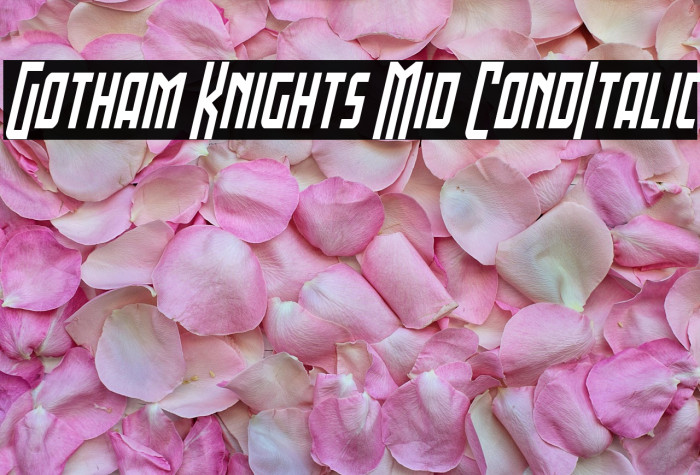 Gotham Knights Mid CondItalic Example 2