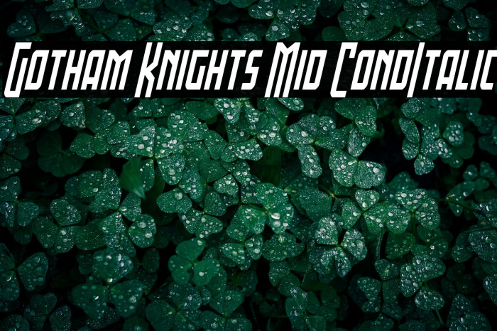 Gotham Knights Mid CondItalic Example 3