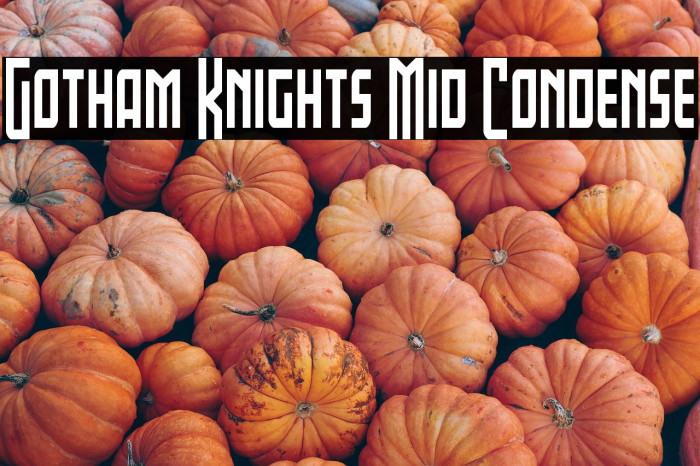 Gotham Knights Mid Condense Example 1