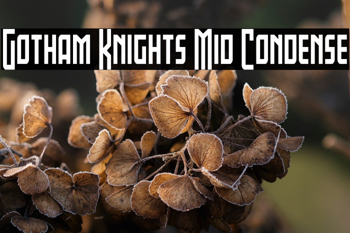 Gotham Knights Mid Condense Example 2