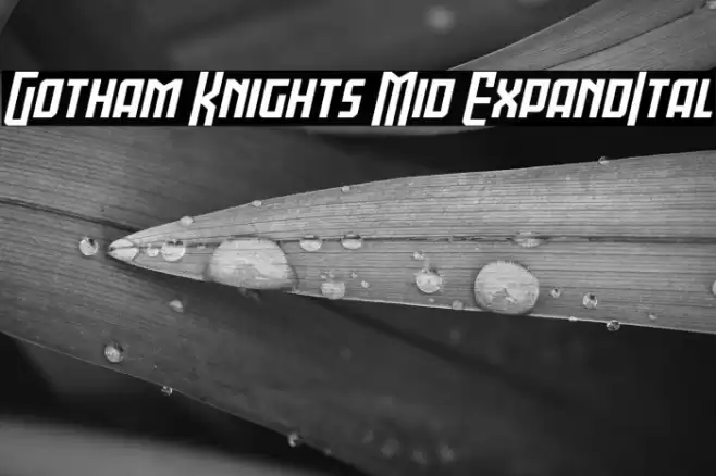 Gotham Knights Mid ExpandItal Font examples