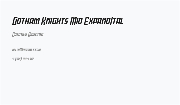 Gotham Knights Mid ExpandItal Business Card